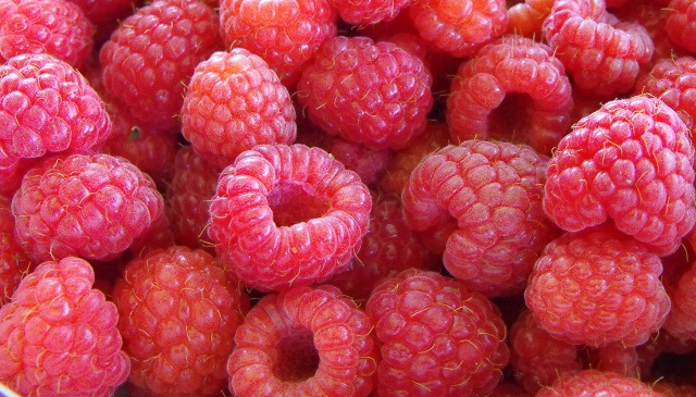 Vegyes_ gyumolcslekvar