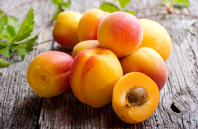 ecetes_sargabarack..