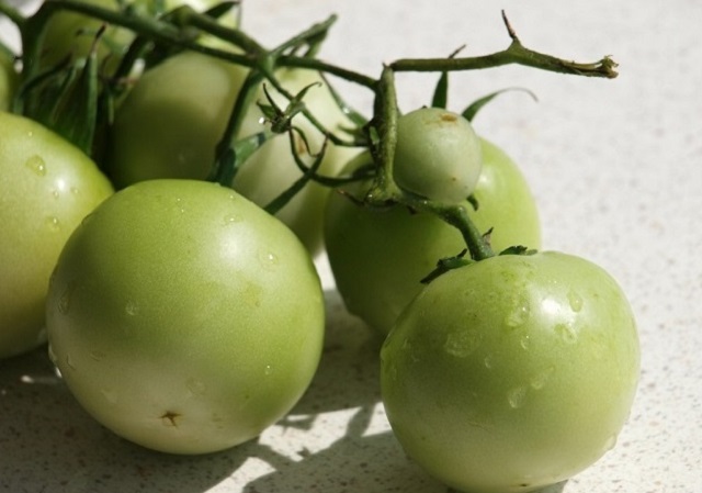 Vegyes savanyusag telire